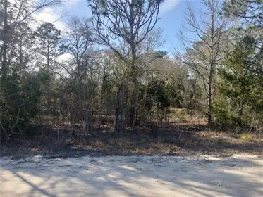 MORRISTON FL Property