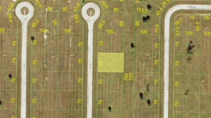 PLACIDA FL Property