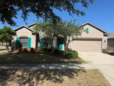 VALRICO FL Home