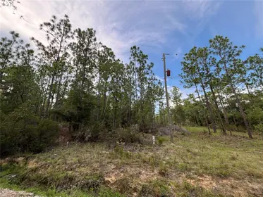 INTERLACHEN FL Property