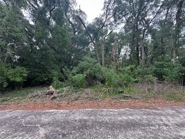 INVERNESS FL Property