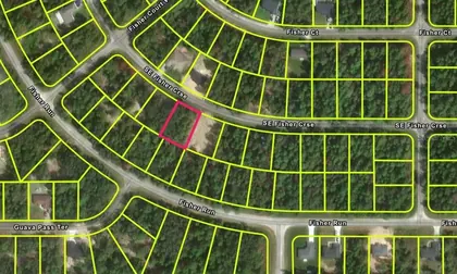 OCKLAWAHA FL Property