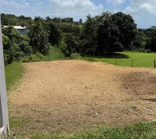 YABUCOA PR Property