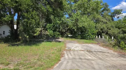CRYSTAL RIVER FL Property