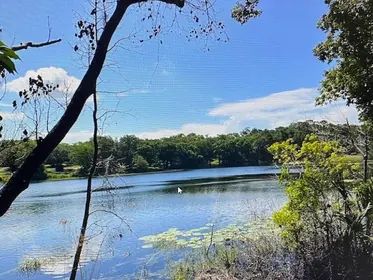 FRUITLAND PARK FL Property
