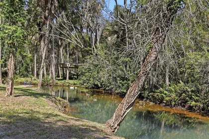 WEEKI WACHEE FL Property