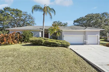 BRANDON FL Home