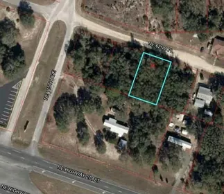 WILLISTON FL Property