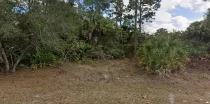 LEHIGH ACRES FL Property