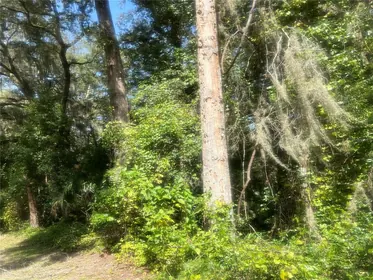 DE LEON SPRINGS FL Property