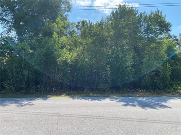 SPRING HILL FL Property