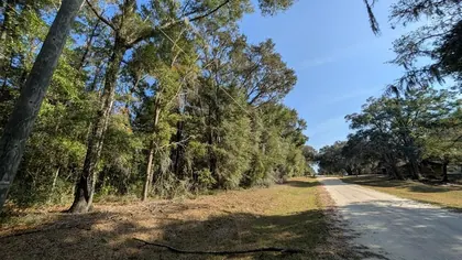 DUNNELLON FL Property