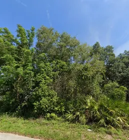 LAKE WALES FL Property