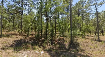 DUNNELLON FL Property