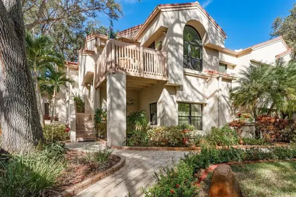 SAFETY HARBOR FL Home