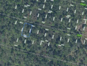 SEBRING FL Property