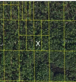 LAKE WALES FL Property