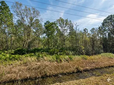 HASTINGS FL Property