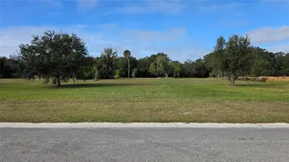 LITHIA FL Property