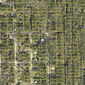 DELAND FL Property