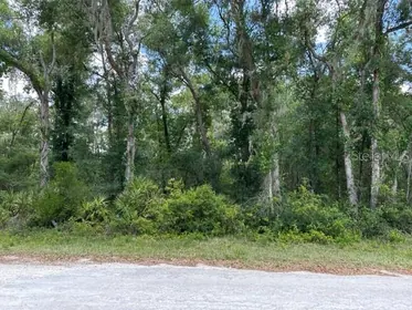 WEBSTER FL Property