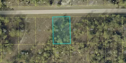 LEHIGH ACRES FL Property