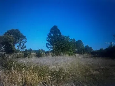 LORIDA FL Property