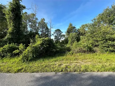 POINCIANA FL Property