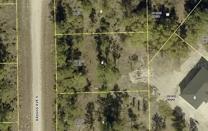 LEHIGH ACRES FL Property