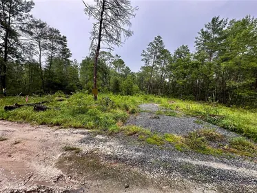 FORT MC COY FL Property