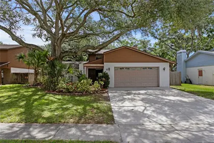 TEMPLE TERRACE FL Home