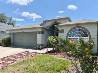 WESLEY CHAPEL FL Home