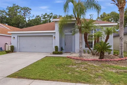 ZEPHYRHILLS FL Home