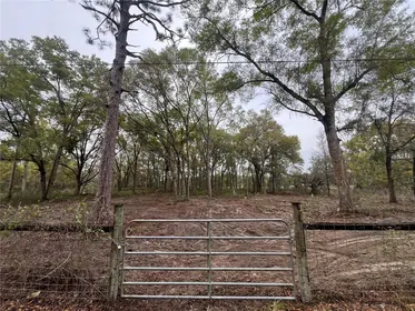 SPRING HILL FL Property