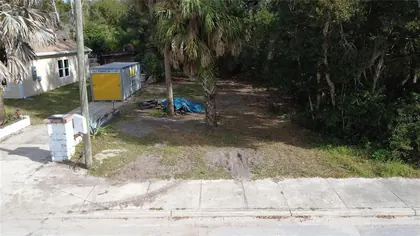 MIMS FL Property