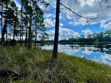 DELAND FL Property