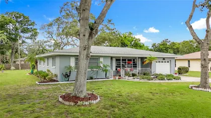 BELLEAIR BLUFFS FL Home