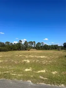 UMATILLA FL Property
