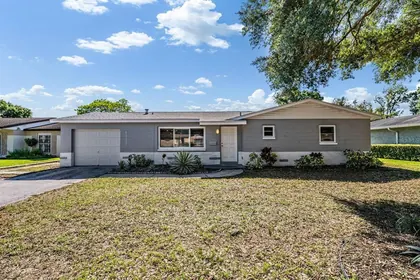 ST PETERSBURG FL Home