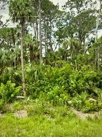 LEHIGH ACRES FL Property