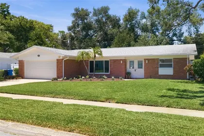 ST PETERSBURG FL Home