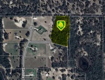 WEIRSDALE FL Property