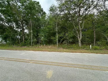 BELLEVIEW FL Property