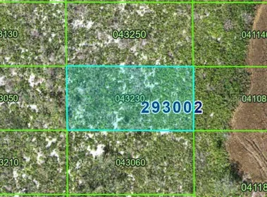 LAKE WALES FL Property