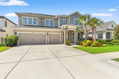 LAND O LAKES FL Home