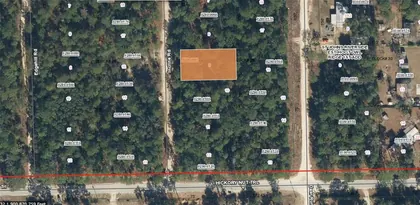 SATSUMA FL Property