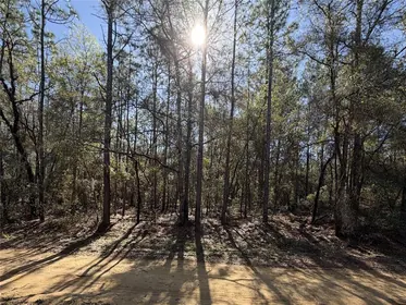 INTERLACHEN FL Property