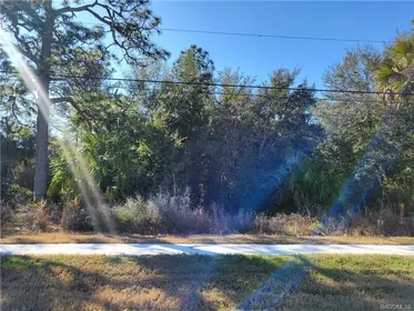 HOMOSASSA FL Property