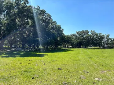 ARCADIA FL Property