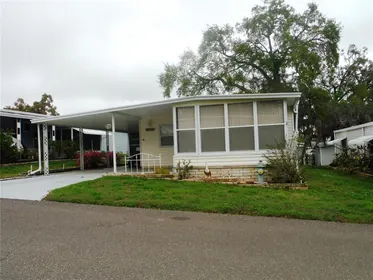 SAFETY HARBOR FL Home